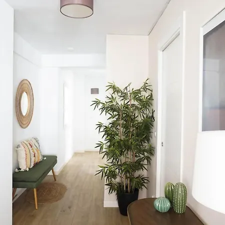Apartamento New Precioso Centrico Amplio *